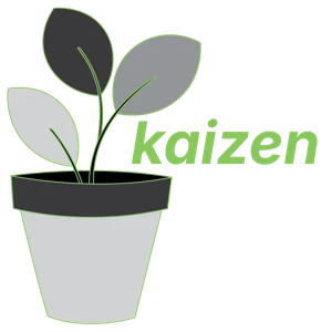 Kaizen